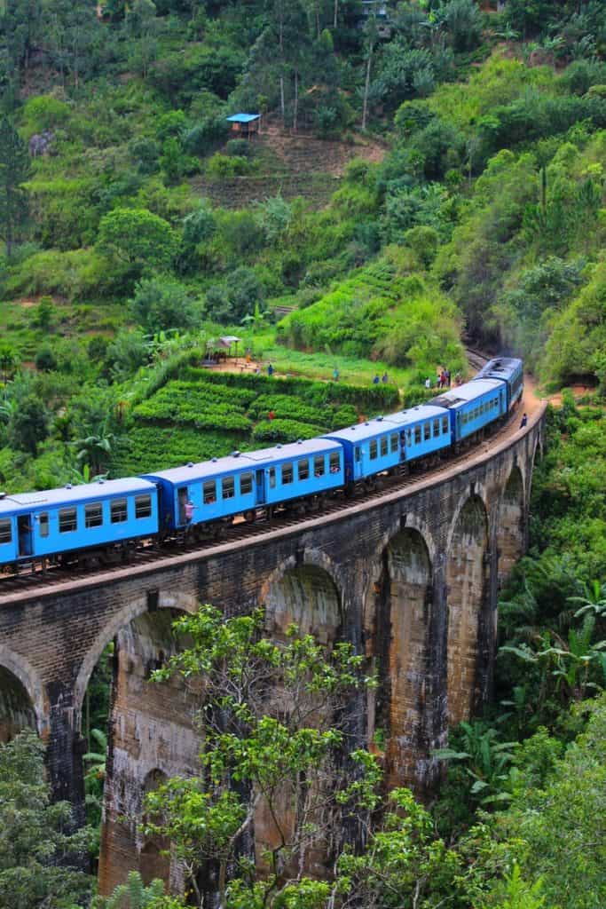 blue train on arch bridge near green field during daytime